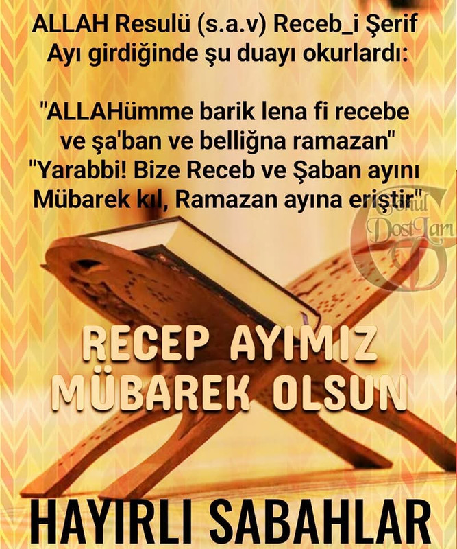 FB_IMG_1735700205413