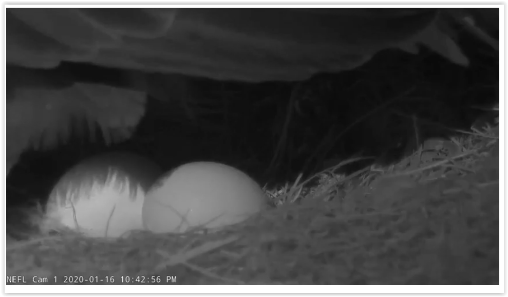 Screen Shot 01-17-20 at 07.28 AM 001