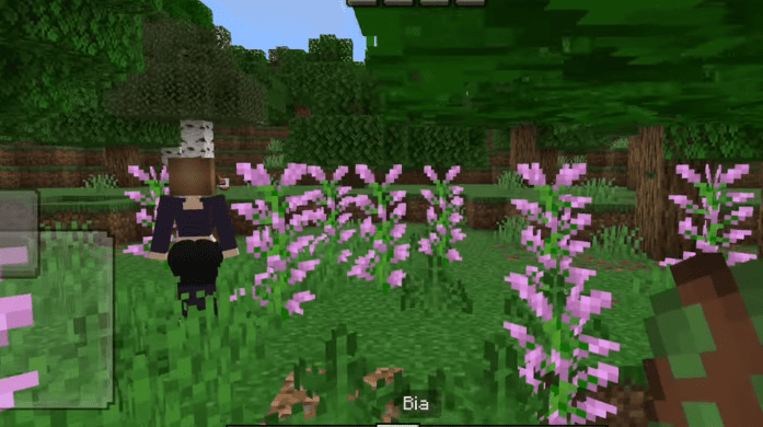 Jenny Minecraft Mod Menu Interface