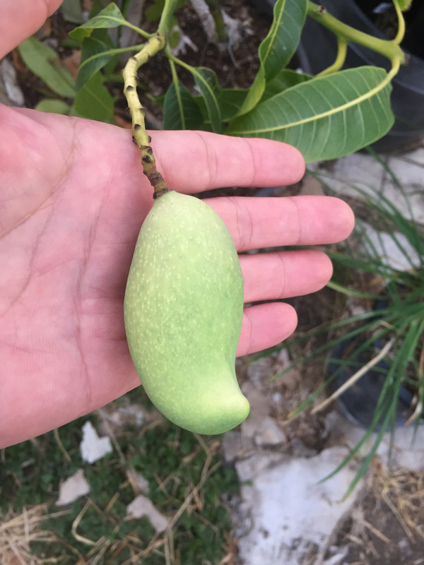 2D773CE7-E1E6-4FAD-853E-96C7A63EDA93