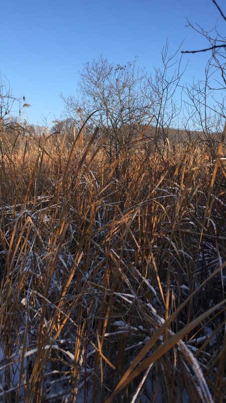 4A6ECD59-32A4-4B6C-9FC3-EC30088B3015