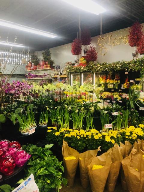 [Image: IMG-2791.jpg]