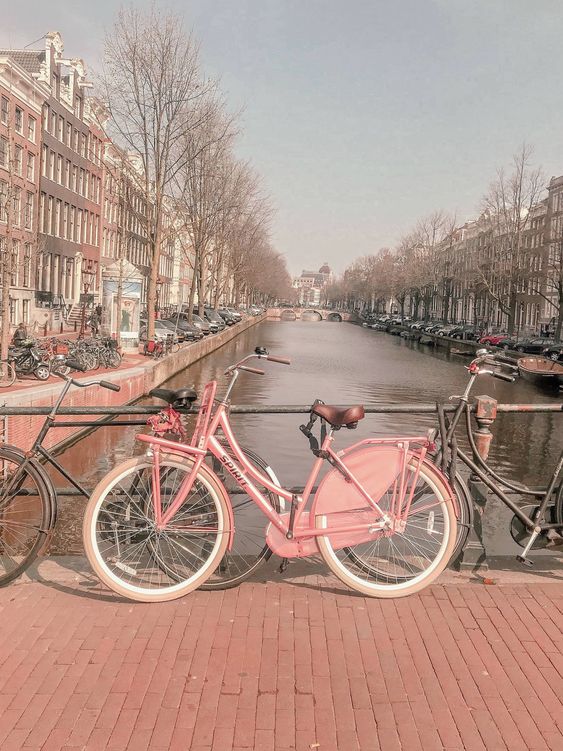 pink-bike-amsterdam-new.jpg