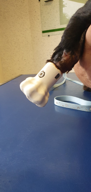 [Image: 20230803-172519.jpg]