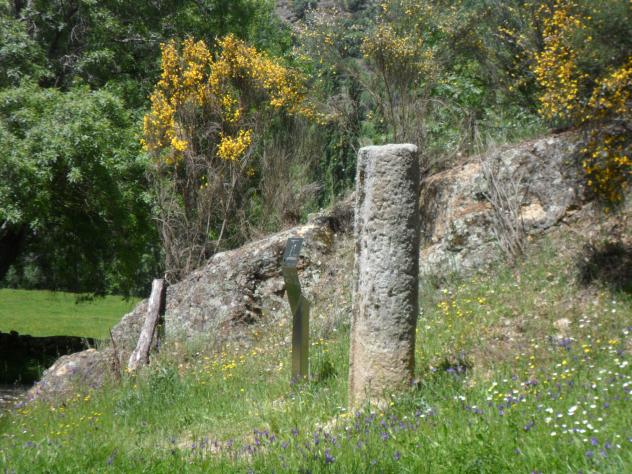 Antoniniano de Filipo el árabe. SAECVLARES AVGG. Columna. Roma Miliari-bejar