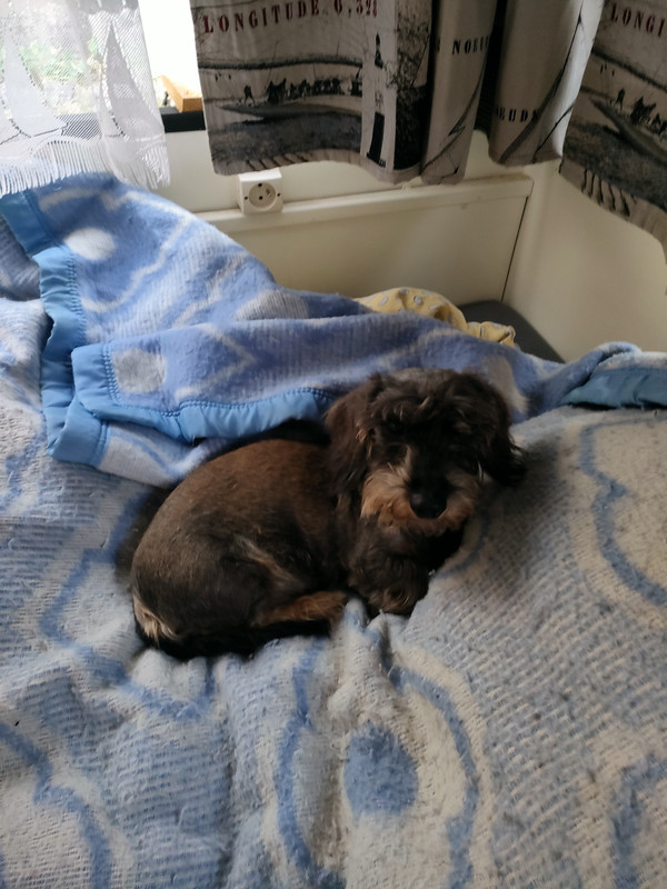 [Image: IMG20220816075919.jpg]