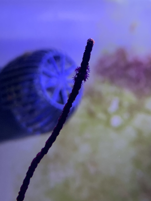 1F1DD3E5-8632-4F55-BB7B-D81C0C8A2FE2