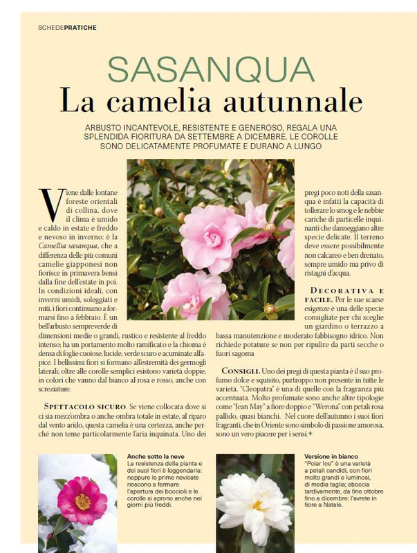 Il Mio Giar Ott-Nov 2024 (3)