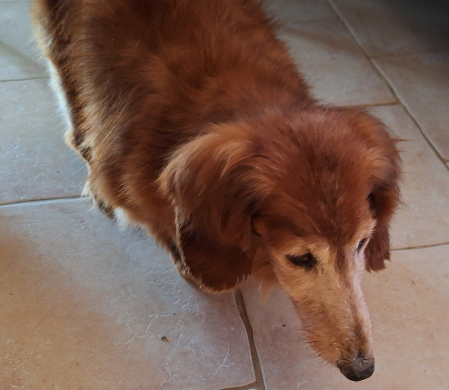 [Image: 20250314-090251.jpg]