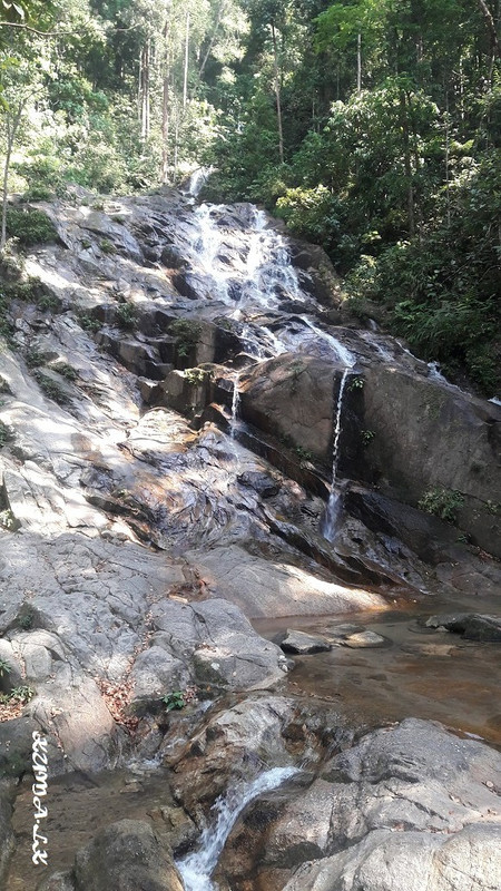 20190319-103925.jpg
