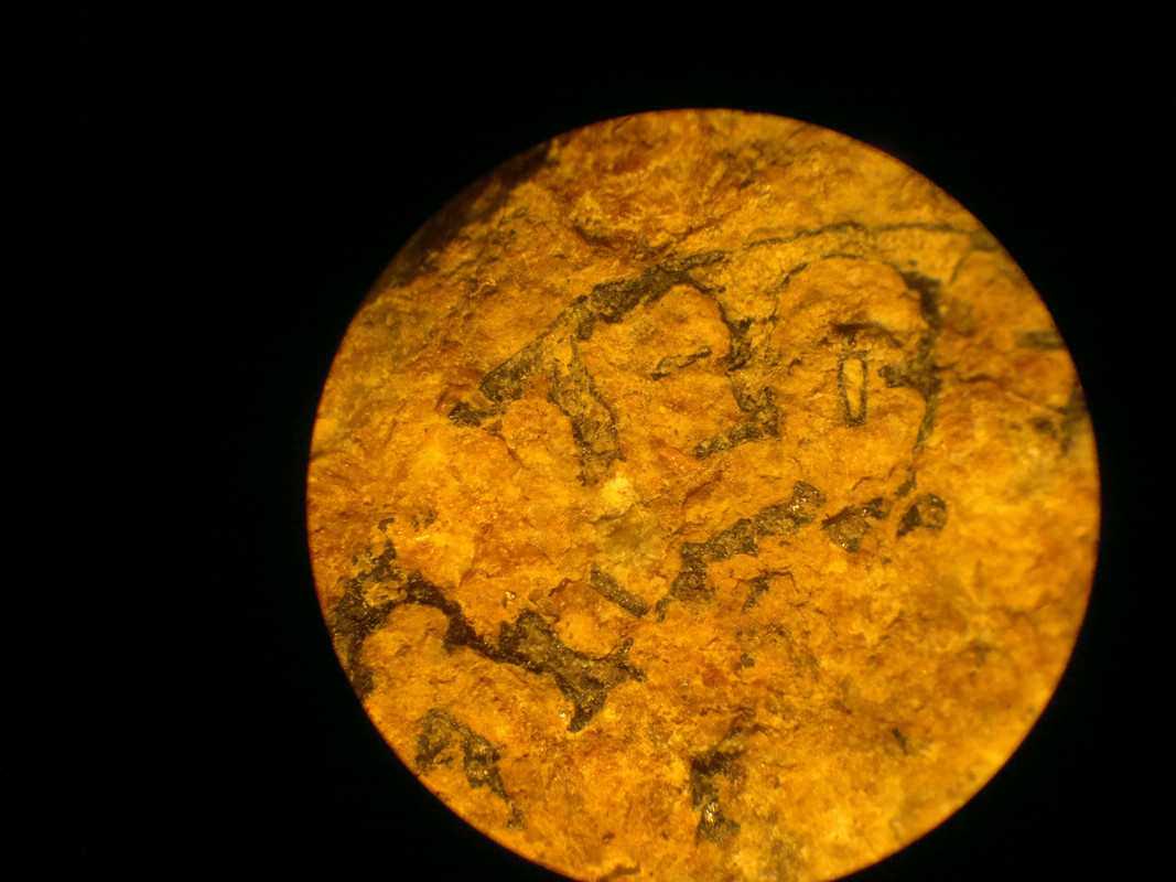 2013-07-21-718