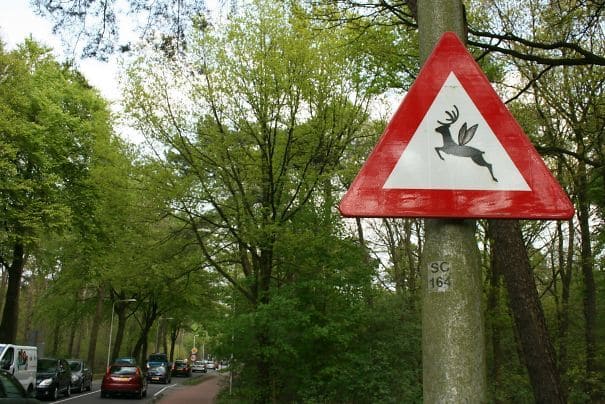 20 ярких примеров того, как вандализм может стать истинным искусством