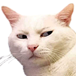 IMG-5401.png