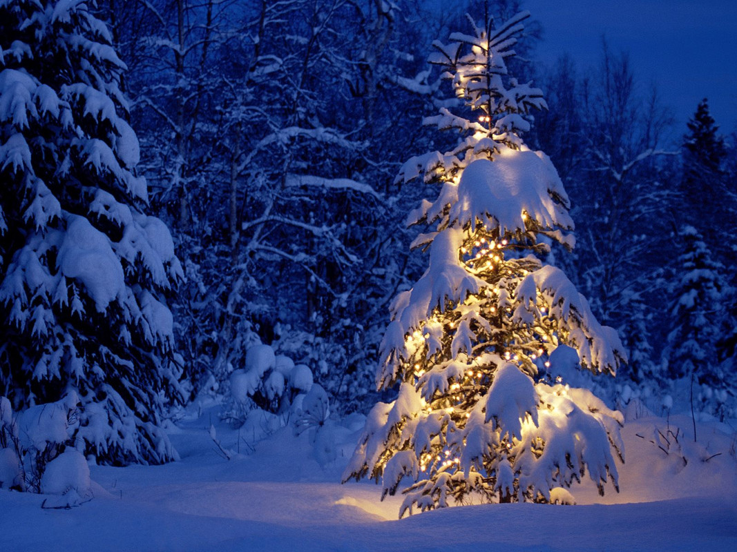 Merry Christmas And a Happy New Year 2022 ! Merry Christmas And a Happy New Year 2022 !