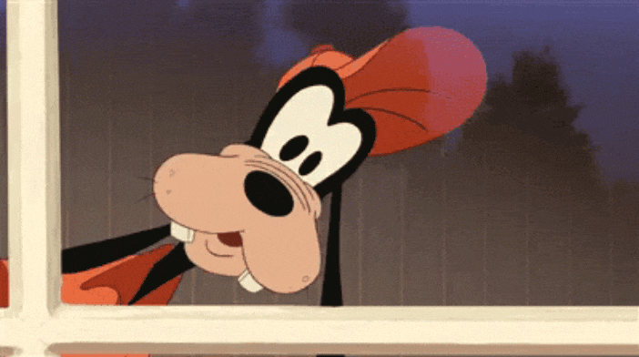 GIF-20251011-083029-601.gif