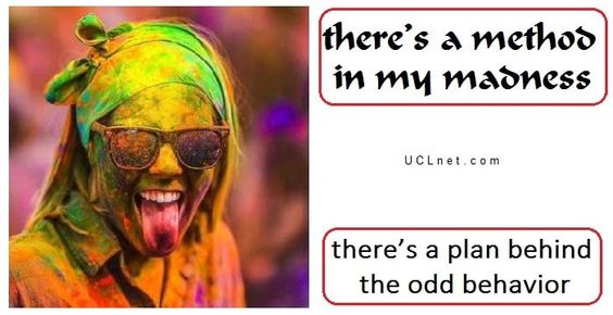 English idiom: (a) method to (one’s) madness English idiom: (a) method to (one’s) madness