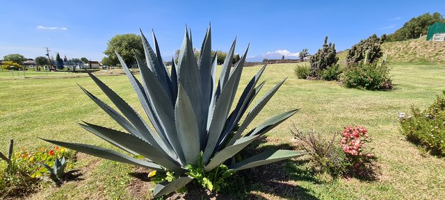 DÍA 9. SÁBADO 31 OCTUBRE 2020, TOUR POR CHOLULA Y PUEBLA - MÉXICO, GUANAJUATO Y PUEBLA. OCTUBRE 2020 (1)