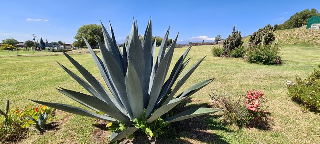 DÍA 9. SÁBADO 31 OCTUBRE 2020,  TOUR POR CHOLULA Y PUEBLA - MÉXICO, GUANAJUATO Y PUEBLA. OCTUBRE 2020 (1)