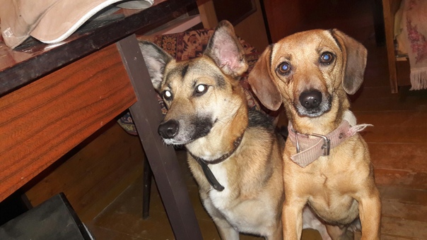 89258717-AD9C-45BE-922B-CC4068DDD1B4