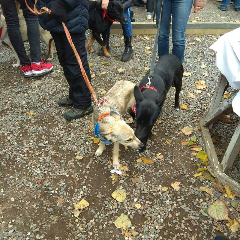 A7BF8F5E-2BF8-488F-8C8B-EB0EAA2051A0