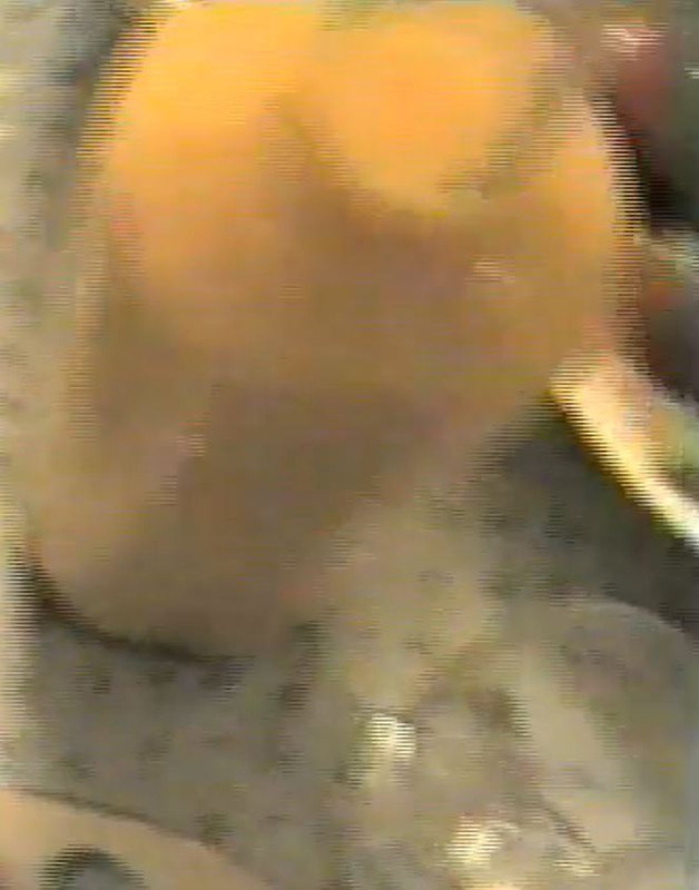 2025-06-24 14_00_29-Яндекс Диск