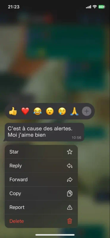 Conversation WhatsApp : un client confirme avoir reçu son accès après le paiement