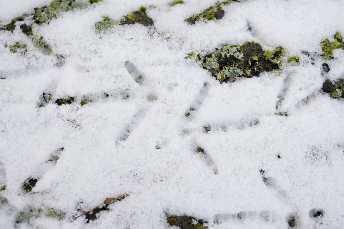 6D7DF16B-8F45-4F5D-870F-D338ADF1A09F