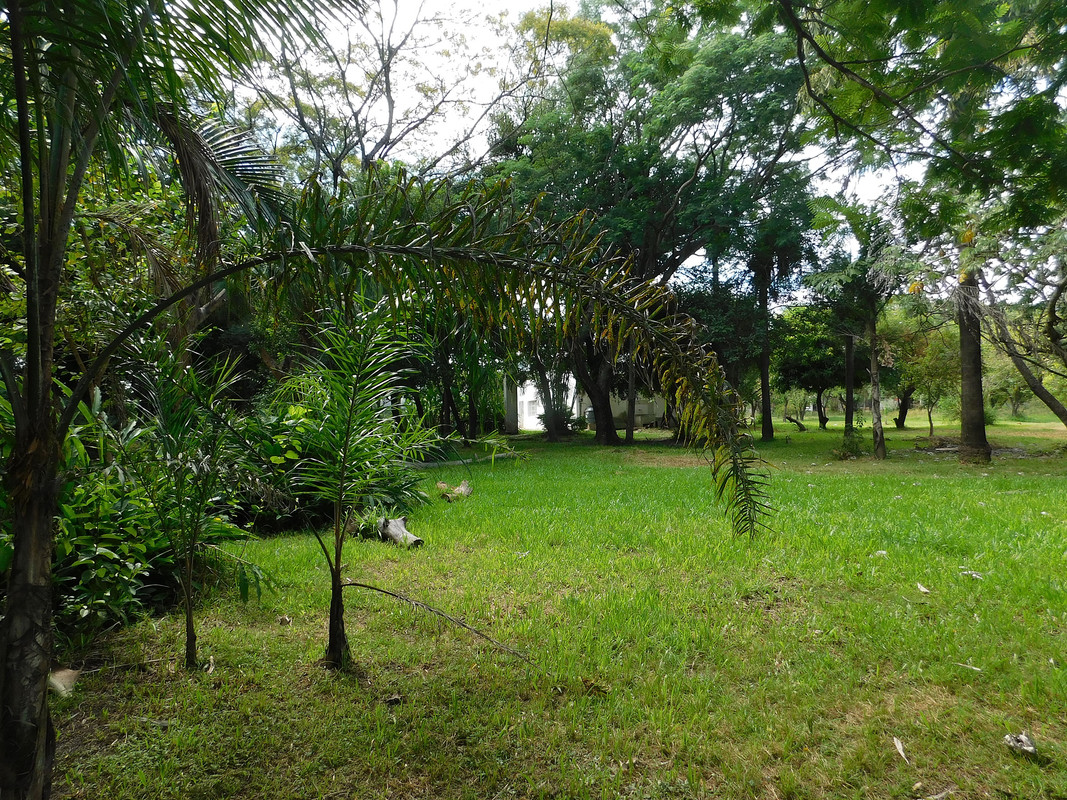 DSCN0490.jpg