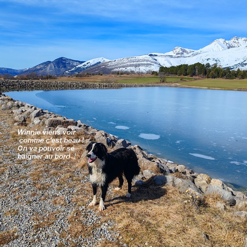 IMG-20260222-121904bb