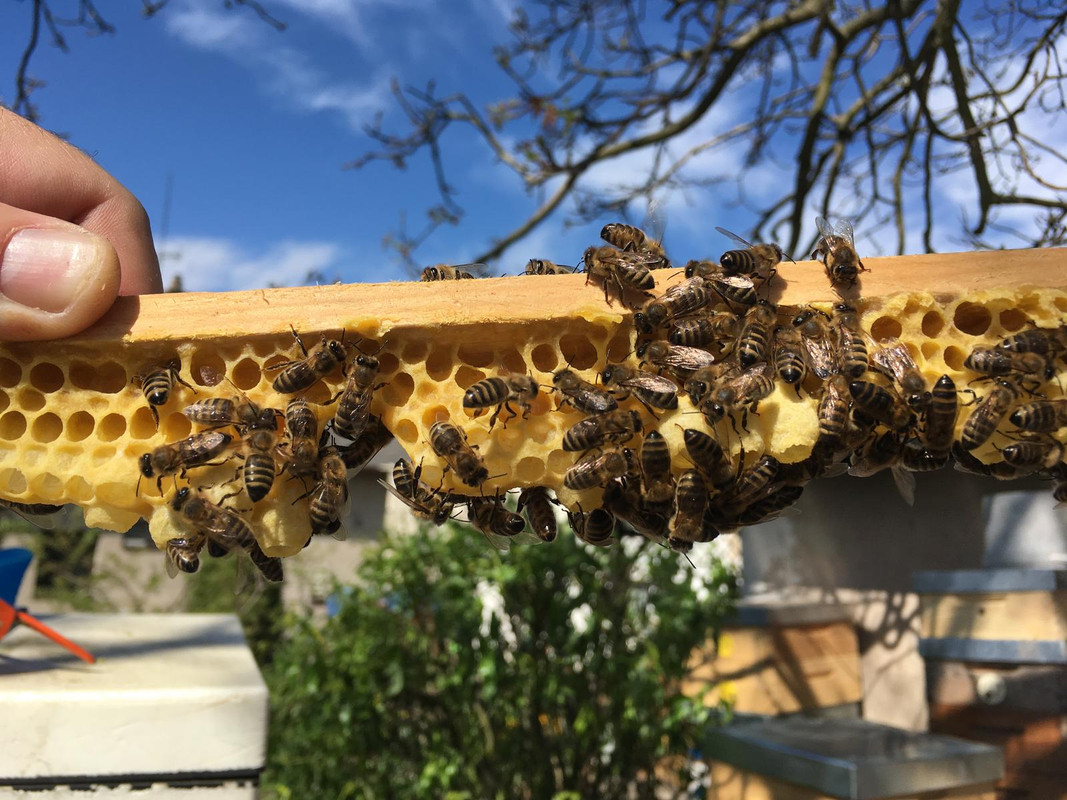 EAACFE34-E46F-4D86-9159-E15155E0E8D4