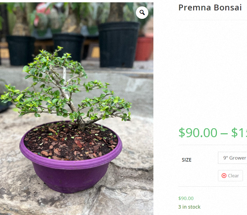 [Image: 2024-09-23-084754.png]