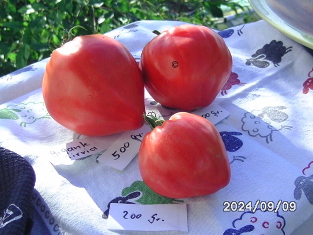 [Bild: BILD0411.jpg]