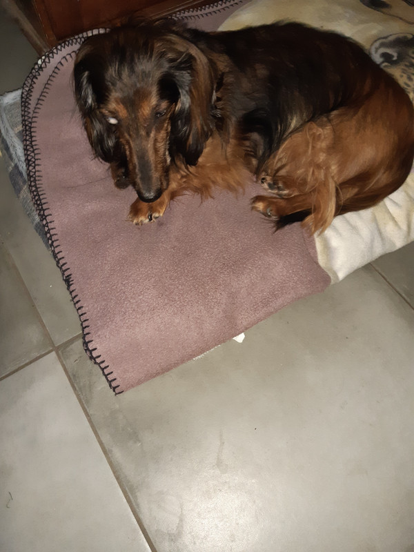 [Image: 20221206-155052.jpg]