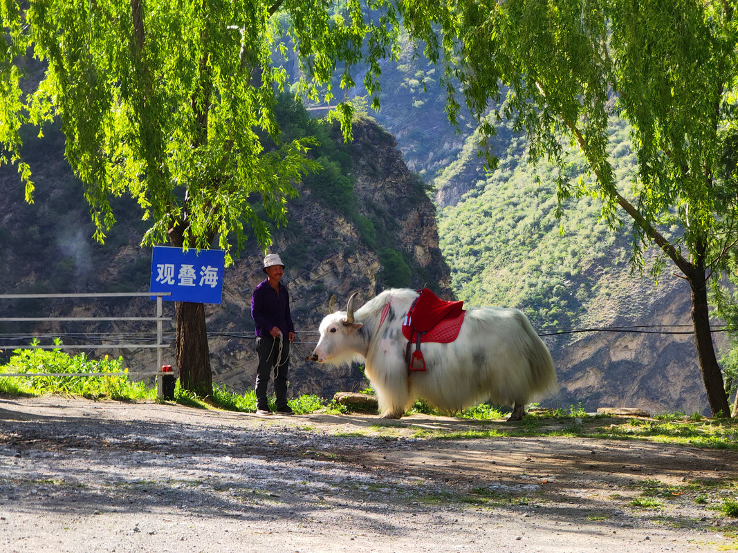 IMG_20230513_165511_副本