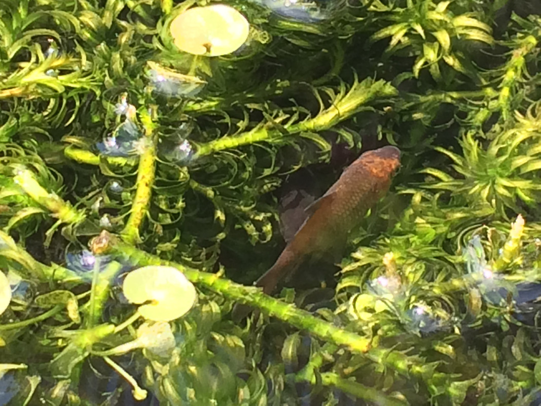 FDC758D9-7FC4-442E-84B1-DA72C6C57A26