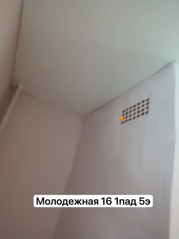 IMG 3801