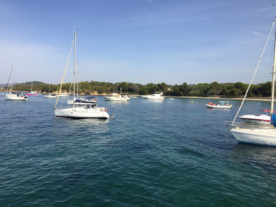 AE1D35EE-D307-4B15-8249-93F262D53776