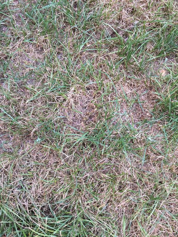 WhatsApp Image 2018-08-12 at 18.47.19 (1)