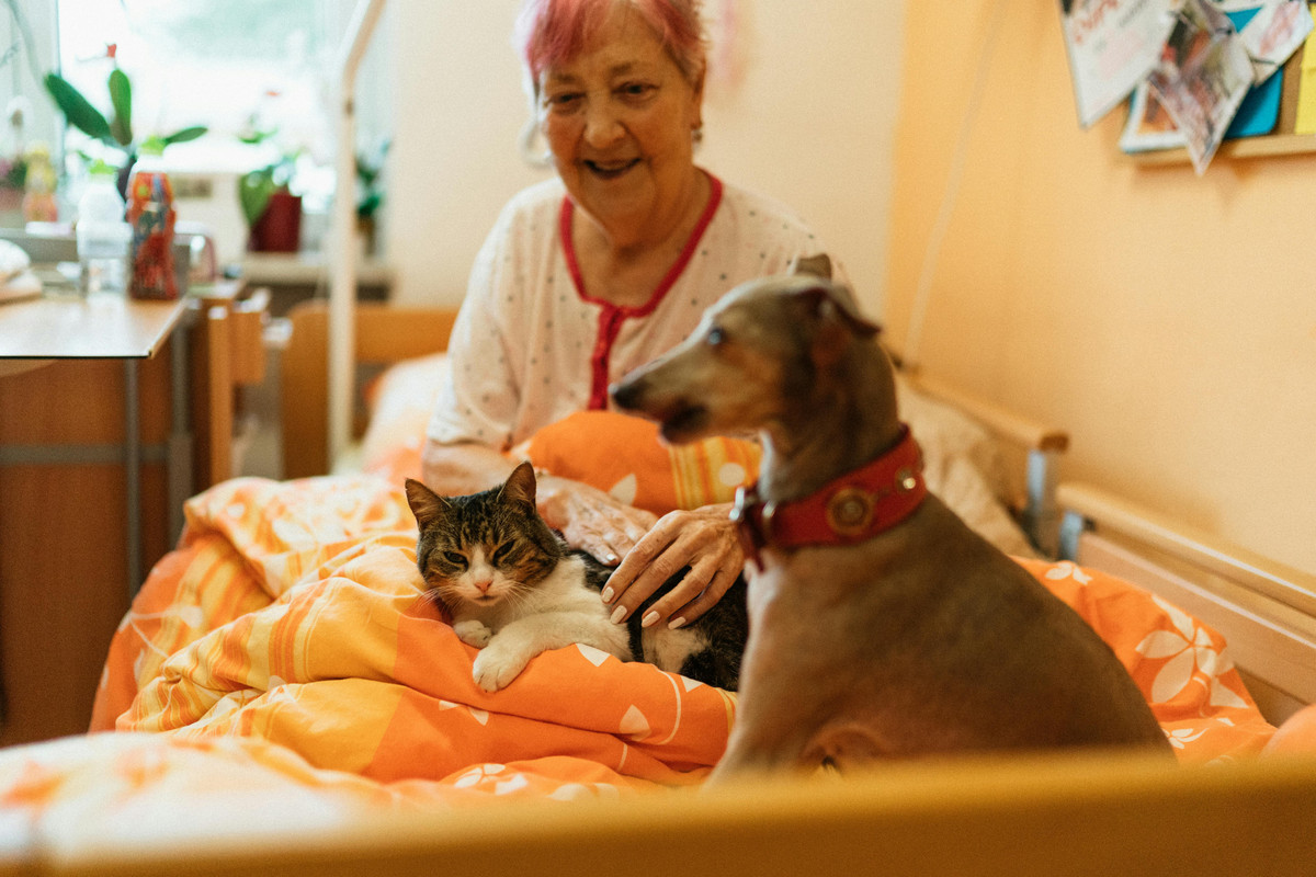 Benefits of Allowing Pets in Assisted Living Facilities