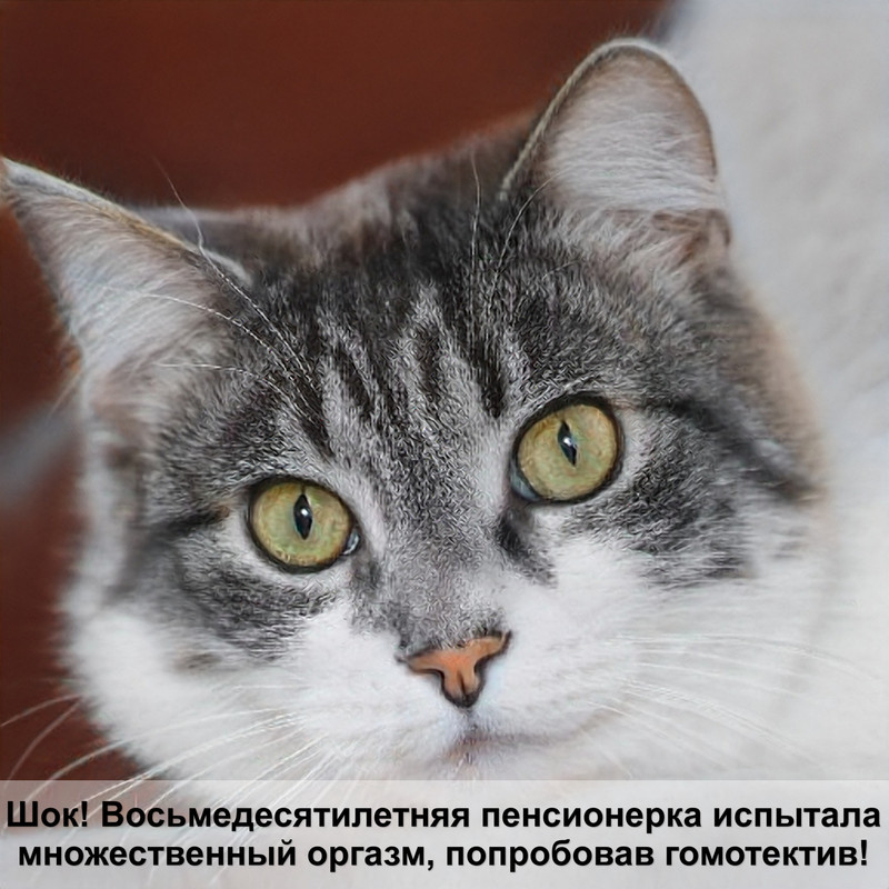 самая страшная порода кошек