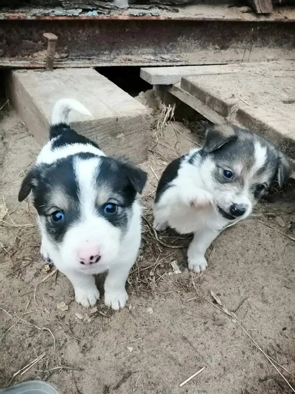 IMG-c39fea043a5280169053251d2051fddb-V