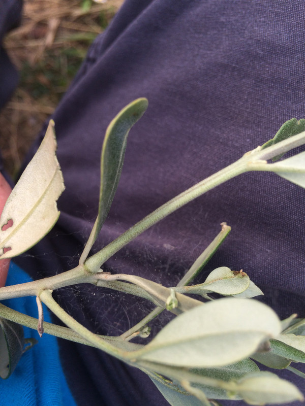 EA398D37-0376-49C4-8829-0CAAF999B364