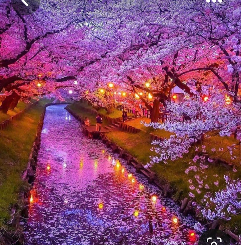 Screenshot_20230512_224306_Pinterest