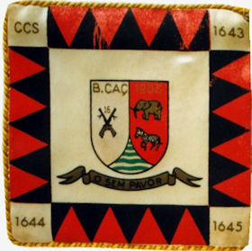BCac1904