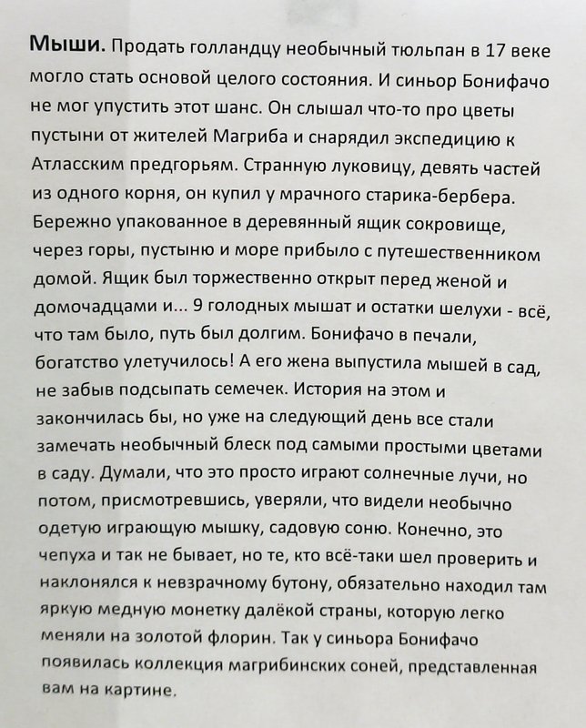 https://i.postimg.cc/9McKGb4j/029-IMG-20250121-131914.jpg