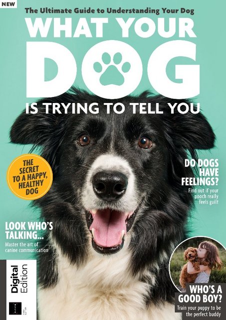 What Your Dog Is Trying To Tell You – First Edition, 2021