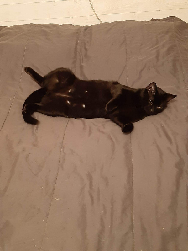 received_887810549338022