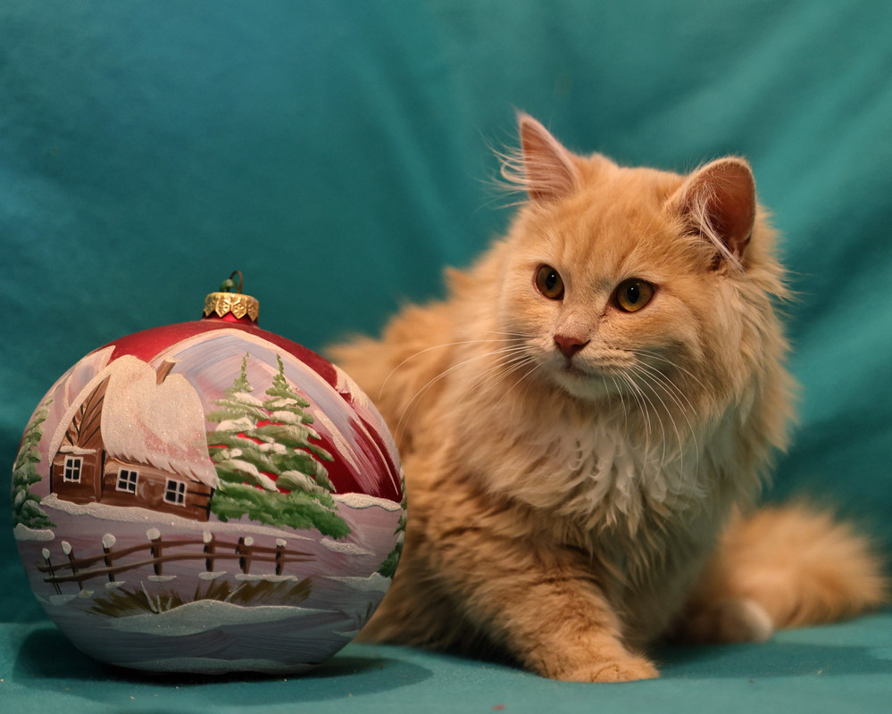 275745C9-0F29-4908-B6FF-87B2351067C2