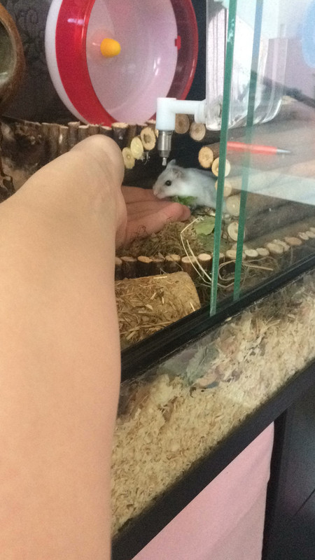 4370E026-339F-4973-A508-D37FB8B56D68