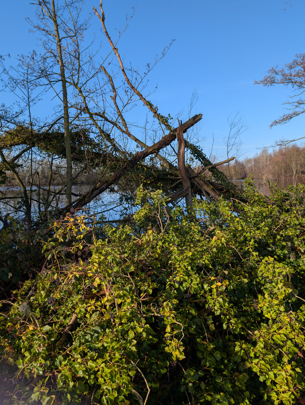 PXL 20260207 094010845